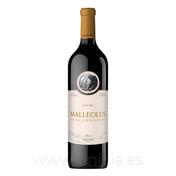 Malleolus de Valderramiro