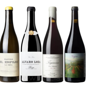 Discover Most Wanted