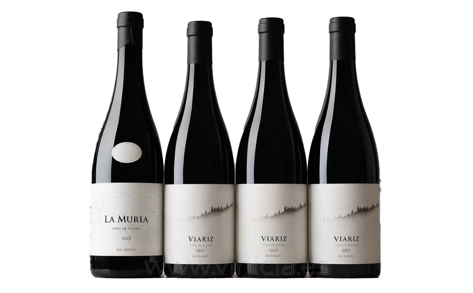 El Mago del Vino Raúl Pérez